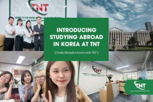 Introducing studying abroad in Korea at TNT