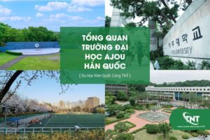 Tổng Quan Trường Đại Học Ajou Hàn Quốc
