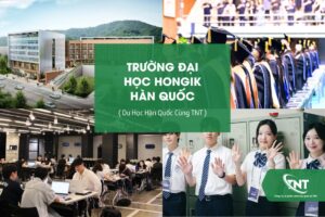 Trường Đại học Hongik Hàn Quốc
